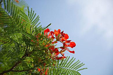 《魔法使之夜》苍崎橙子角色预告公开 游戏12月8日发售